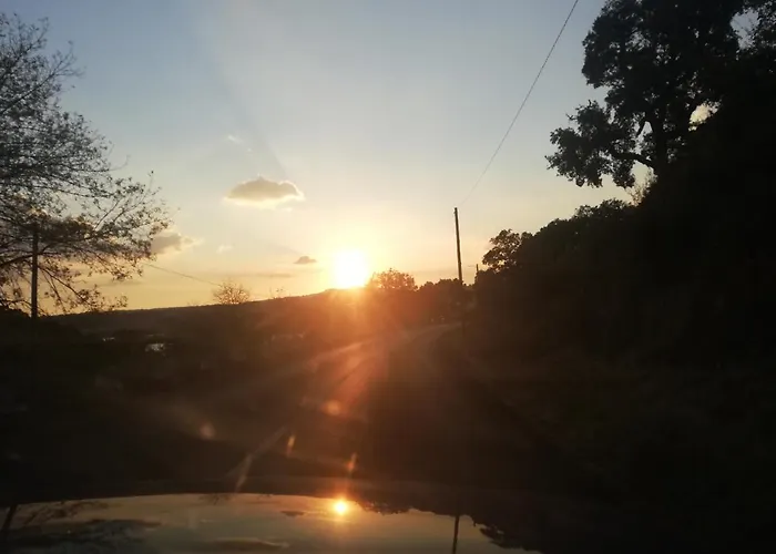 Casinha De Nogueirinha